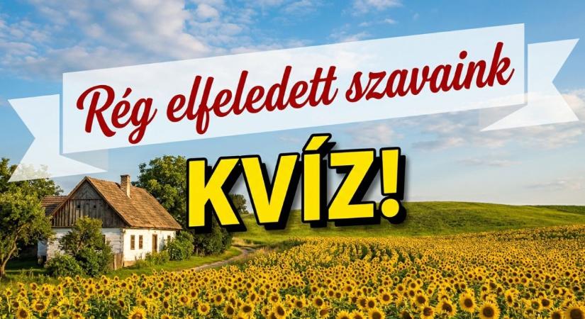 Rég elfeledett szavak kvíz: Tudod mi a lajbi, vagy mit jelent panyókára vetve hordani valamit?