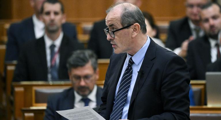 Hegedűs Zsolt: Nagyon nagy probléma lenne, ha kiesne a Honvédkórház nyári traumatológiai ellátása