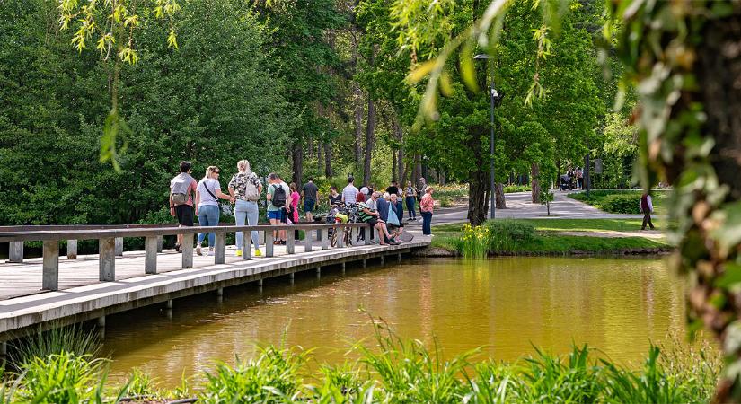 Fidesz-KDNP: Debrecen továbbra is Magyarország egyik legbiztonságosabb nagyvárosa