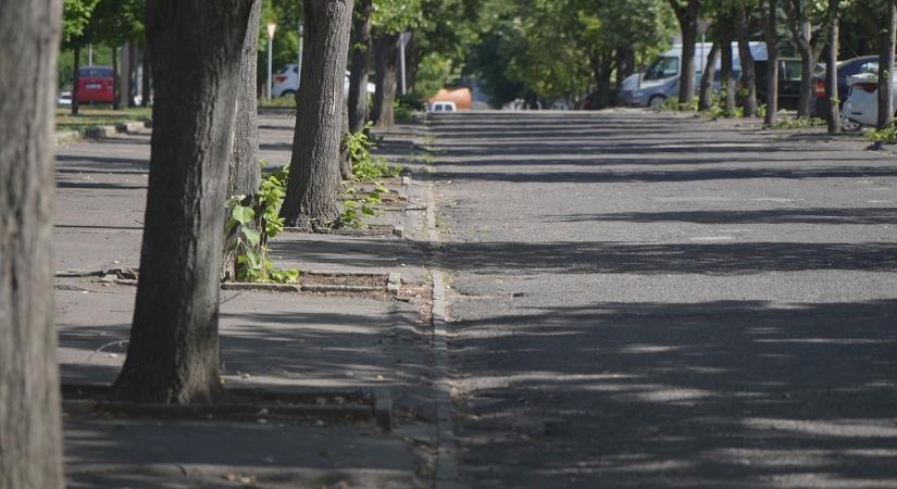 Figyeljenek gépjárműveikre a tulajdonosok a Gesztenyés úton