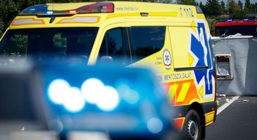 Most nem a lángokkal harcoltak: a tűzoltók erejére és emberségére is szükség volt Zalában