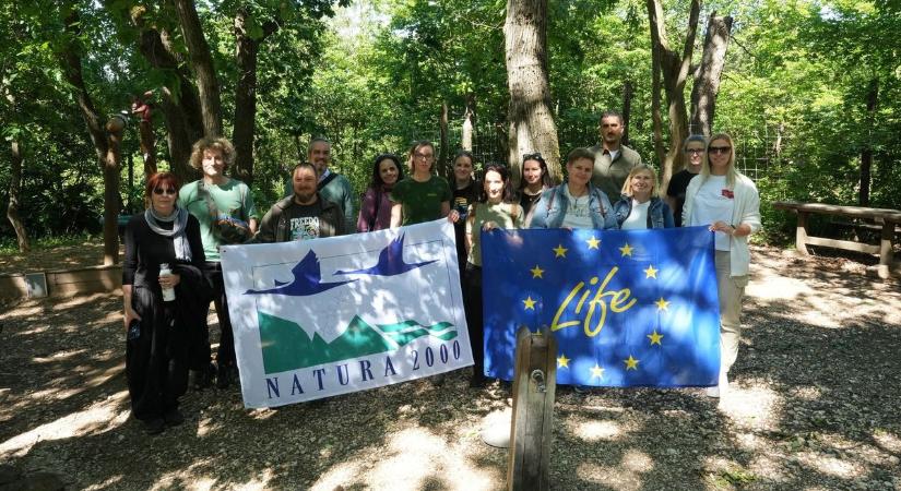 Háttérmunkák zajlottak az ürgék háza táján