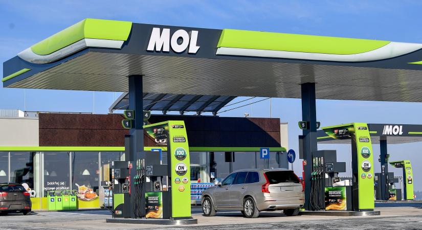 A Mol még mindig nem tért magához