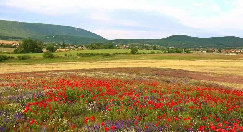 Felfrissül a levegő, majd újra erősödik a meleg