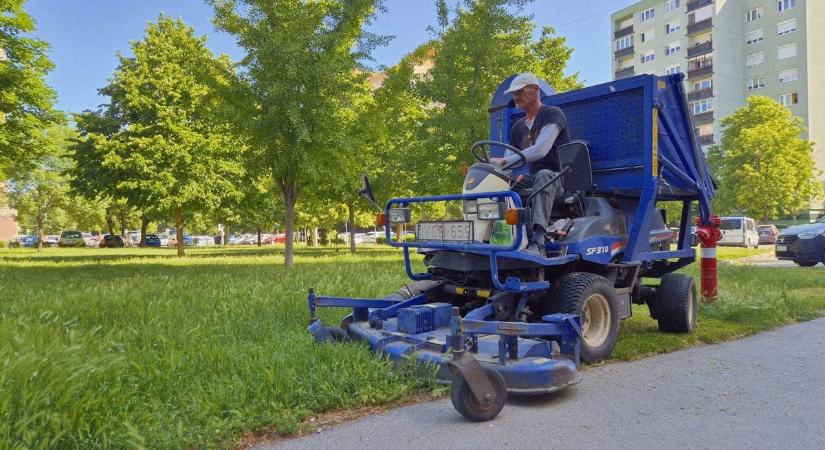 Sokan meglepődtek a magas fű miatt Fehérváron – kiderült, mi áll a háttérben