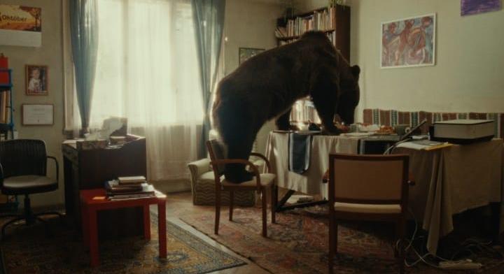 A medvévé változott lány tombolása a szomszéd szobából – 6 film a Friss Hús Budapest Nemzetközi Rövidfilmfesztiválról