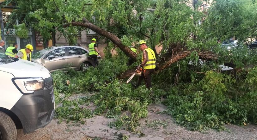 Lecsapott a vihar Szabadkára, a Zombori úton áll a forgalom (Galéria)