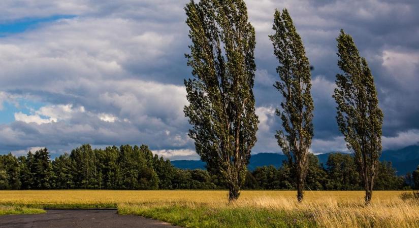 3 napos előrejelzés: Ha esetleg a hétvégét terveznéd, erre figyelj