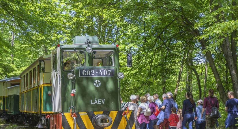 Borsodra figyel a világ! Már a külföldieknek is ajánlják