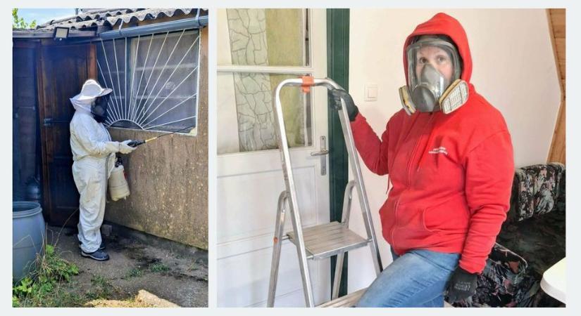 15 év iroda után acélbetétes bakancs: Mária 48 évesen váltott, és lett sikeres kártevőirtó