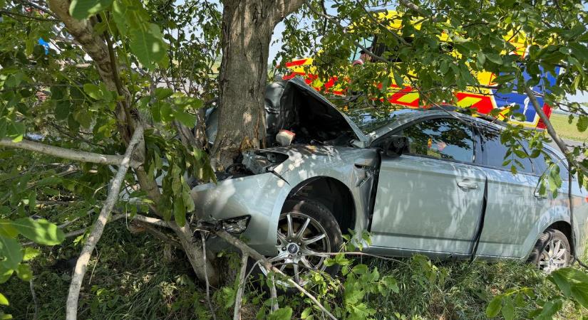 Brutális baleset lett az ütközés elkerüléséből, most szemtanúkat keresnek (fotó)