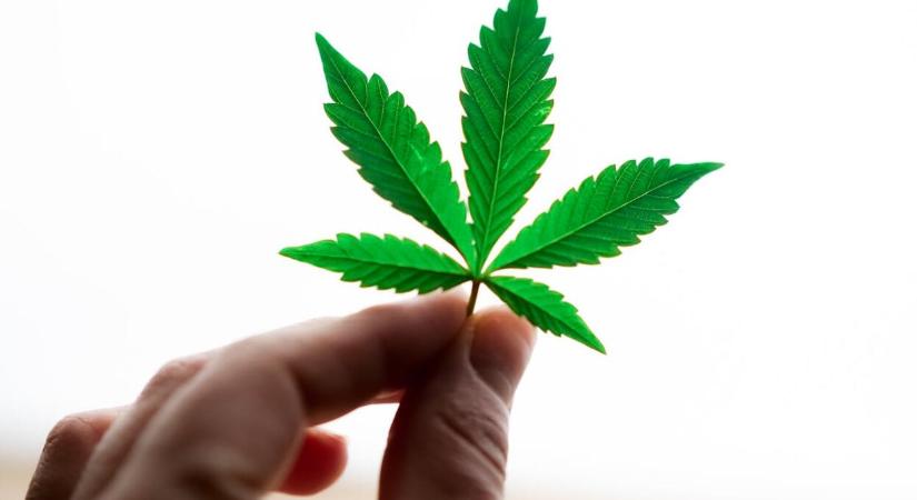 Segíthet a CBD az endometriózisban szenvedőknek?