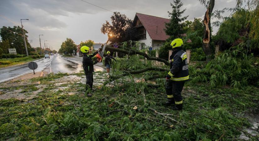 Kidőlt fák jelzik a Balatonnál, merre vonult el az esti vihar – nagyüzem a tűzoltóknál
