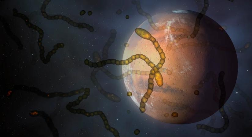 Kitálalt a tudós: óriásit hibázhatott a NASA, és ennek súlyos következménye lehet
