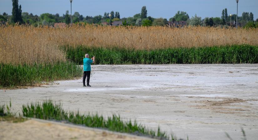 L. Simon László: két tragédiája is van a Velencei-tónak