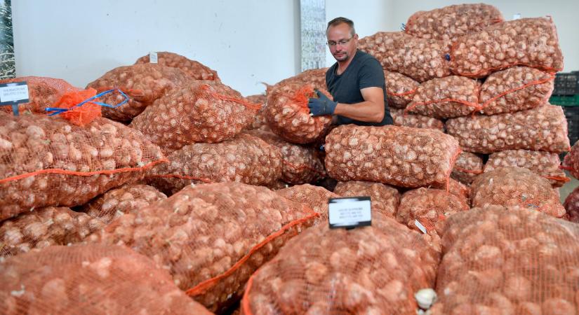 Nyitott kapukkal várja a kormányzati ellenőrzést az Agrárkamara