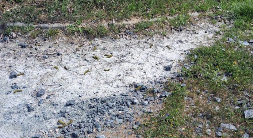 Figyelem! Azbesztgyanú a közkedvelt dunántúli tónál: lezárták a sétányt, a strandnyitás is bizonytalan