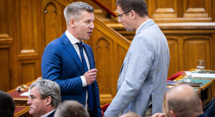 Papp Réka Kinga: Ha kinő belőlünk a demokrácia