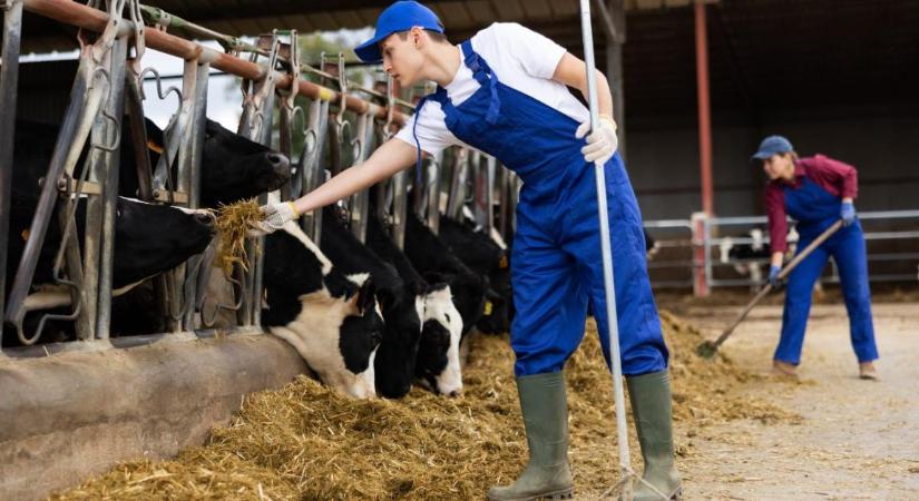 Kritikus a munkaerőhiány: külföldi dolgozók nélkül a leállás szélére sodródhatnak a hazai agrár- és ipari üzemek?