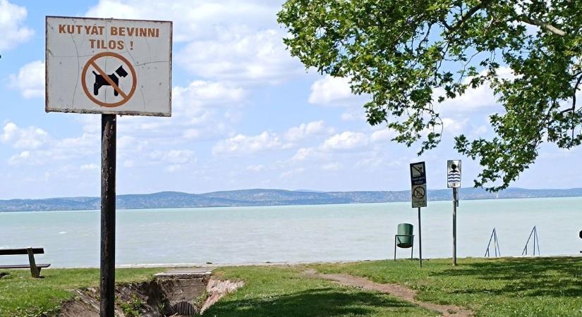 Meghátrált a siófoki önkormányzat, leszerelték a kutyásokat hergelő tiltó táblákat a Balaton-parton