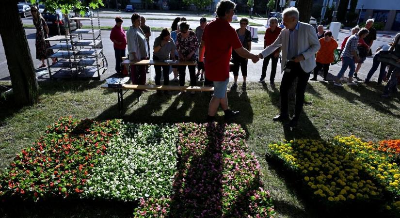 Virágokat osztottak Mosonmagyaróváron - fotók, videó