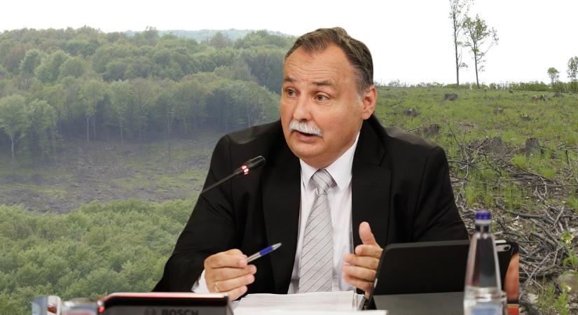 Miniszteri stop a tarvágásra – van egy kis bökkenő az erdőkben Gajdos László országos tiltásával