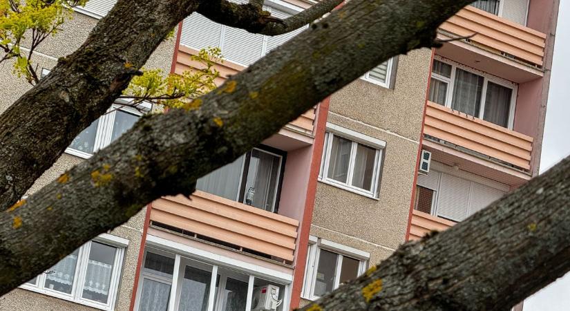 Internetes hirdetés mögött leselkedő csapda: egy zalai nő az újabb áldozat – meglepő sztorira derült fény