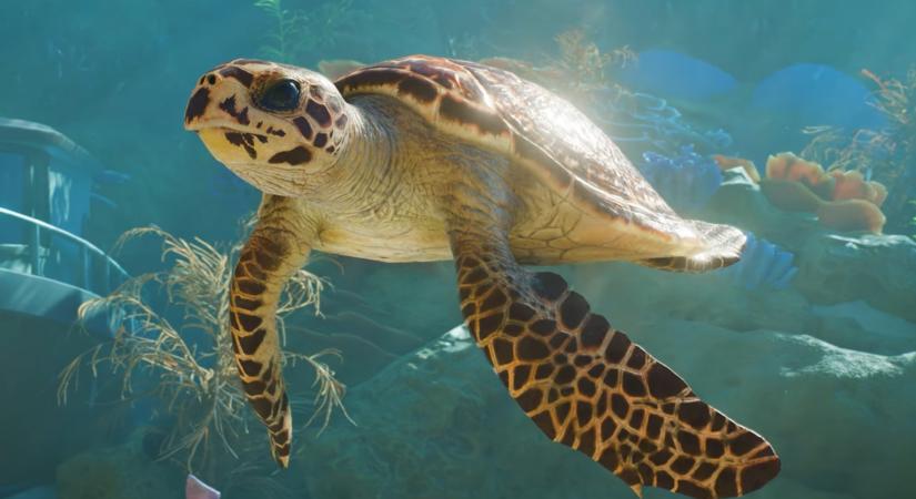 Bejelentették egy előzetessel a Planet Zoo 2-t, amiben bámulatos állatkerteket építhetünk majd, ezúttal tengeri élőlényekkel és madarakkal is