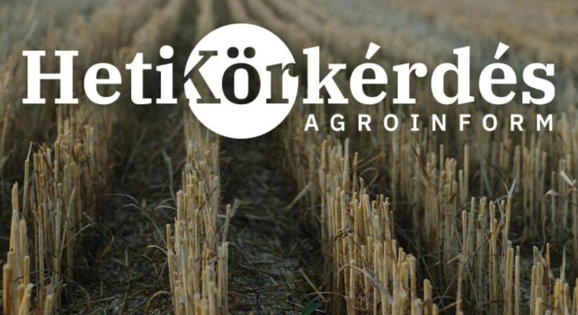 Melyek a szakszerű szárbontás kritériumai? – Heti Körkérdés