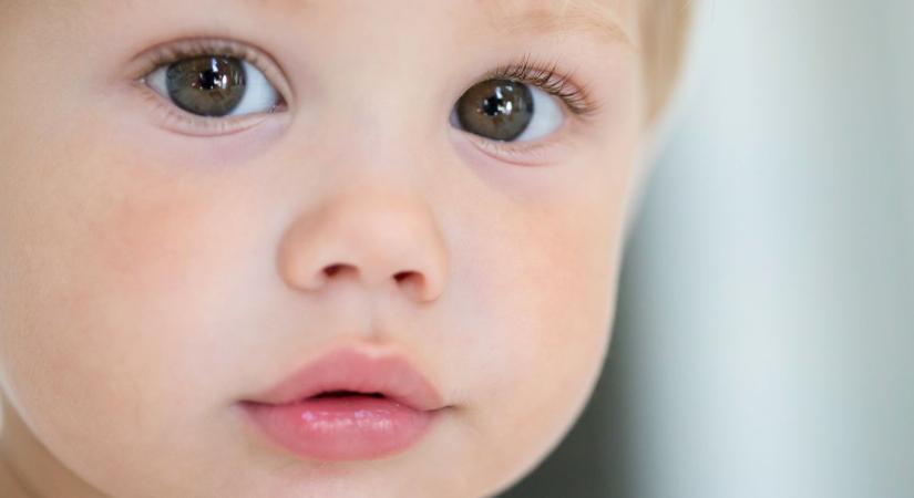 Babakvíz: mennyit tudsz a legkisebbekről? – A válaszokat megtalálod a cikkeinkben!
