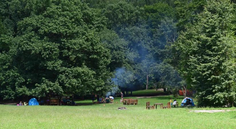 Tilos az erdei sütögetés péntektől, gazt sem szabad égetni a tűzveszély miatt