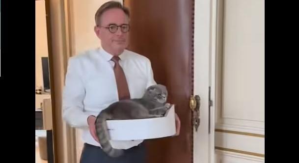 Videó: a belga miniszterelnök macskája fogadta Magyar Péteréket Brüsszelben