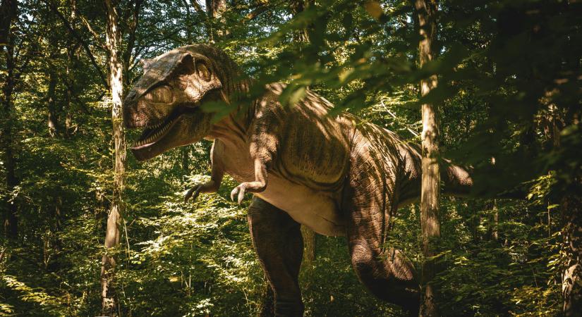 Kiderült a titok! Ezért volt a T-rexeknek kicsi a keze