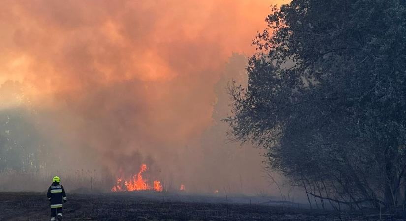 Figyelem! Országos tűzgyújtási tilalom lép életbe május 29-től