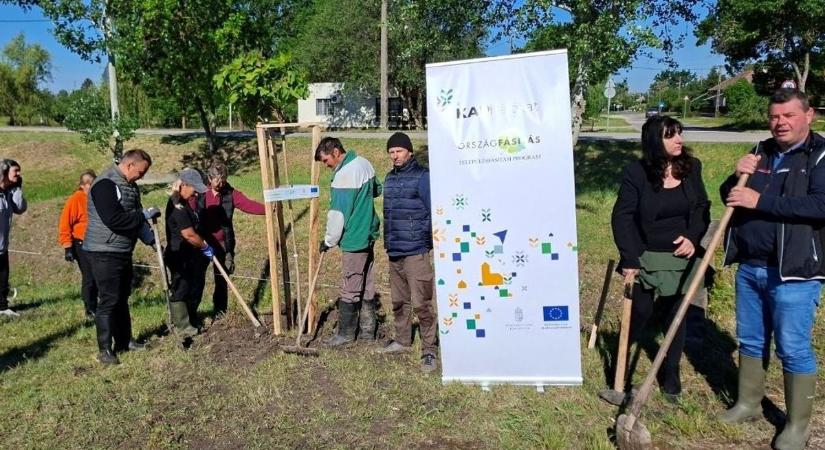 Kivonultak a Vásártérre és lapátot ragadtak a cibakháziak a zöldebb jövőért