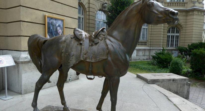 35 kilométert vágtatott a hűséges ló, hogy megvigye a győri vereség hírét: szobrot kapott érte