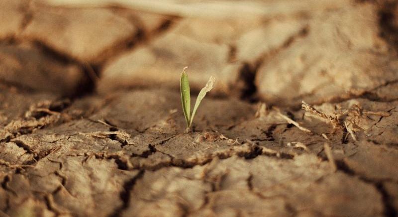 Rémisztő prognózist vázolt a WMO – tragédia, ami az időjárással történik