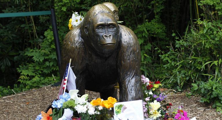 Bizarr módon emlékezett meg a Fehér Ház Harambéról, a lelőtt gorilláról
