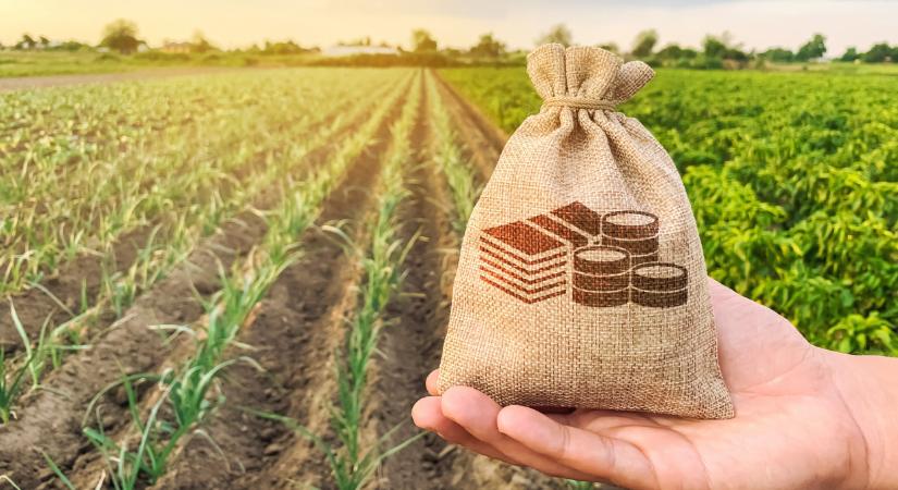 Bizonytalan időkben dől el az agrárium jövője – a fejlesztés ma nem halogatható
