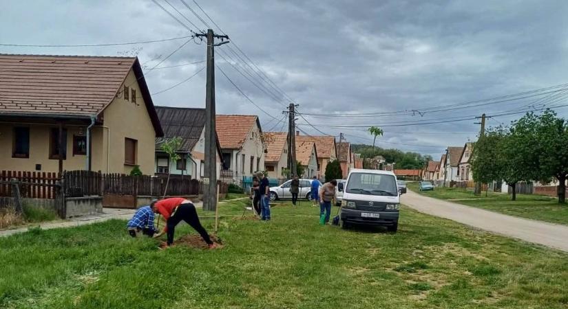 Kiürülhetnek a vidéki városok? Tolna vármegye sem ússza meg a népességfogyást