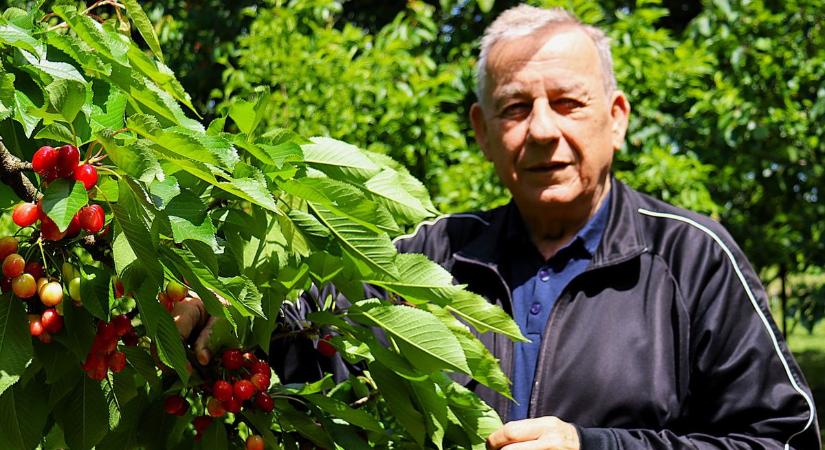 „Felébredek még a műtét után?” – zalai szívbetegek szívszorító történetei