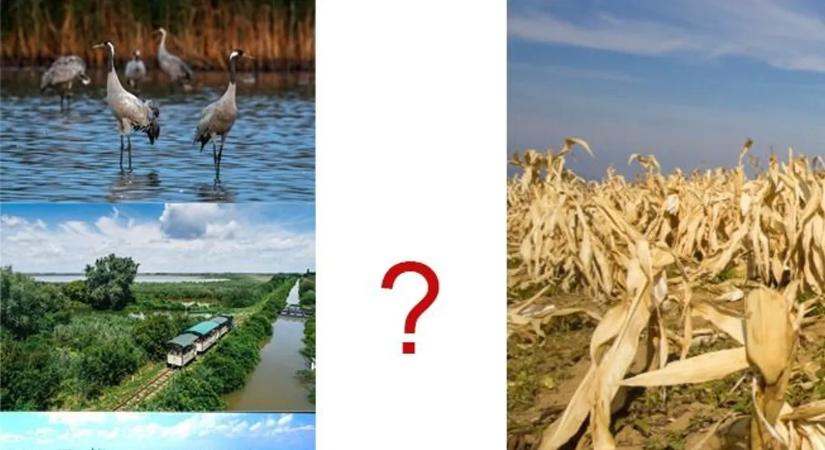 Súlyos figyelmeztetés érkezett: hatalmas változás várhat az Alföldre