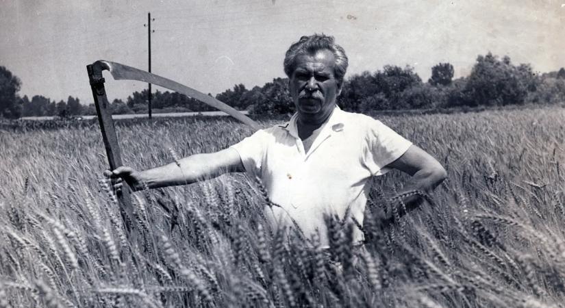 Itt nyaraltak nagy költőink, íróink – Galéria