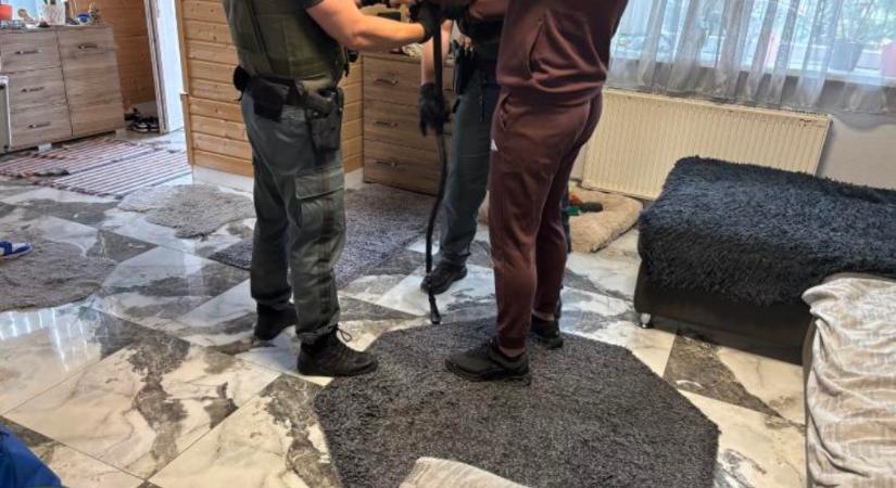Számlagyár: öt személyt tartóztatott le a Szegedi Járásbíróság – videó