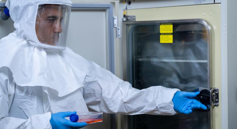 Ebolagyanú miatt riasztották a hatóságokat a szomszédban: már folyik a kontaktkutatás