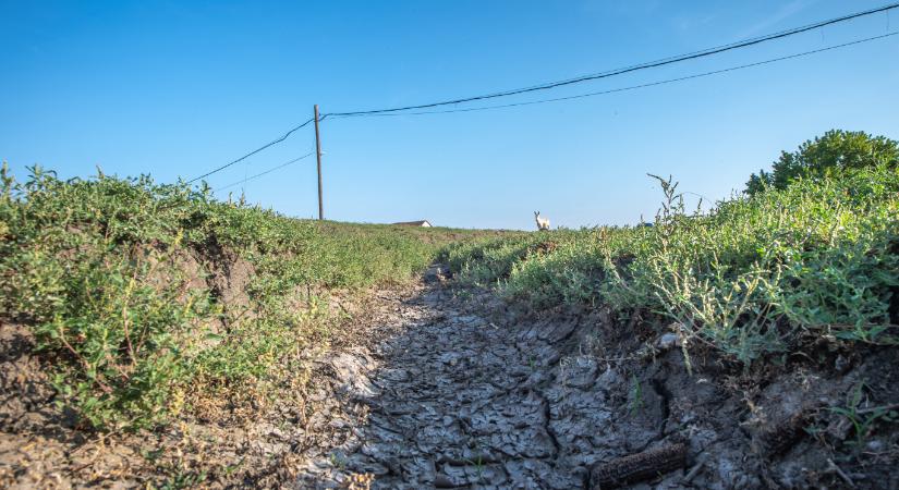 Átfogó kutatás bizonyítja a vizes élőhelyek aszályelhárító hatását
