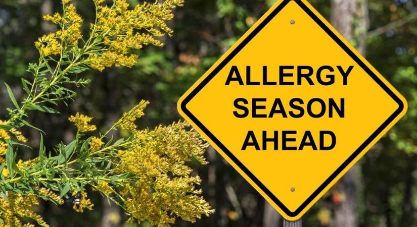 Húsz nappal hosszabb az allergiaszezon a klímaváltozás miatt