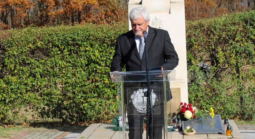 Vádat emeltek Nyírmártonfalva volt fideszes polgármestere ellen a lomb nélküli lombkoronasétány miatt