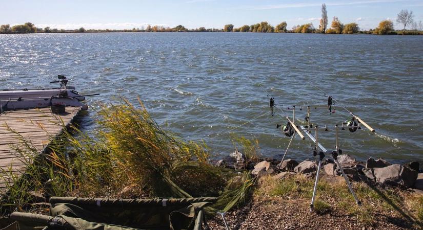 Két tucat gyönyörű pontyot fogott egy horgász a Látóképen – fotóval