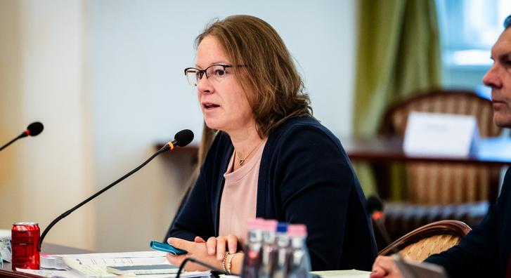 Fizikai képtelenségekről és toklászokról vitáztak a képviselők